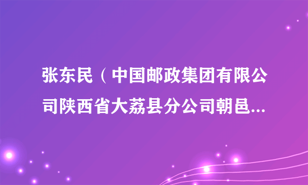 张东民（中国邮政集团有限公司陕西省大荔县分公司朝邑邮政支局投递员）