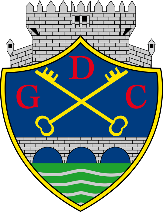 沙维什足球俱乐部