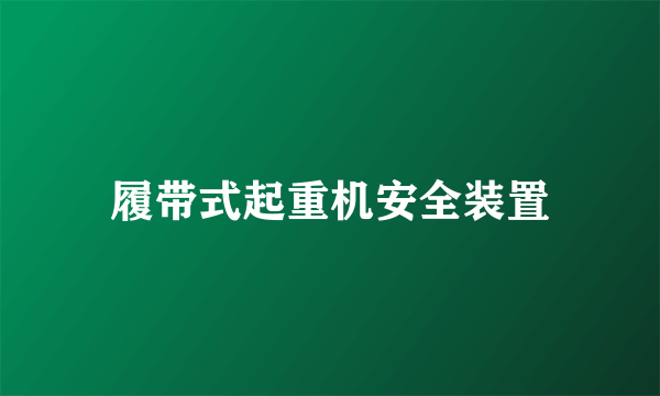 履带式起重机安全装置