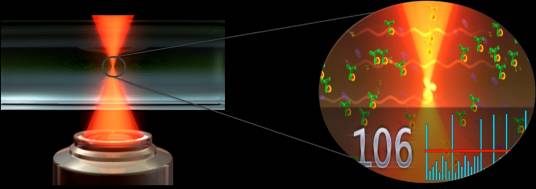 smc（SMC单分子免疫检测技术）