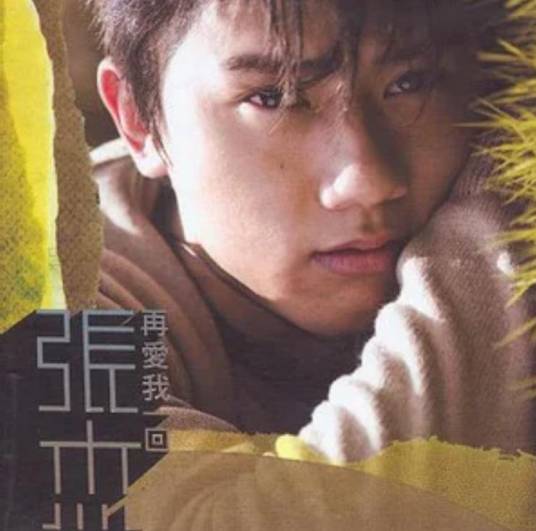 演唱会（张杰《再爱我一回》专辑中的歌曲）