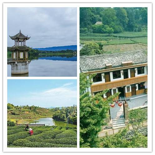 新店镇(四川省雅安市名山区下辖镇)