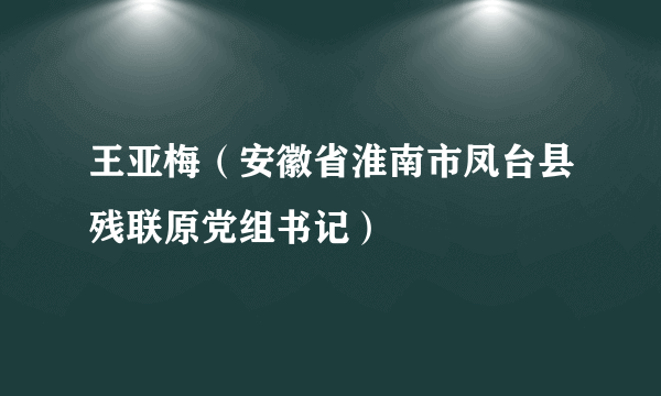 王亚梅（安徽省淮南市凤台县残联原党组书记）
