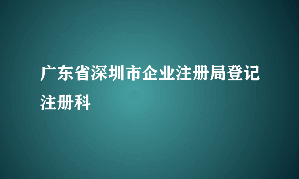 广东省深圳市企业注册局登记注册科