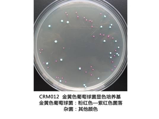 金黄色葡萄球菌显色培养基