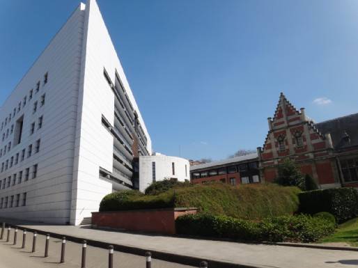 布鲁塞尔自由大学欧洲研究所