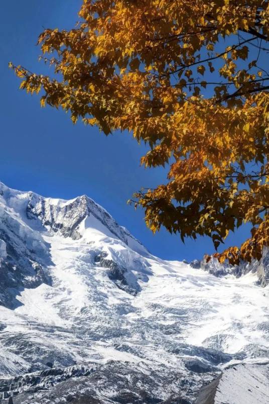 海螺沟（四川省甘孜藏族自治州泸定县磨西镇境内景点）