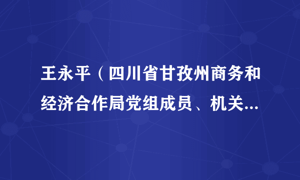 王永平（四川省甘孜州商务和经济合作局党组成员、机关党委书记）