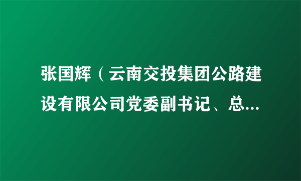 张国辉（云南交投集团公路建设有限公司党委副书记、总经理、副董事长）
