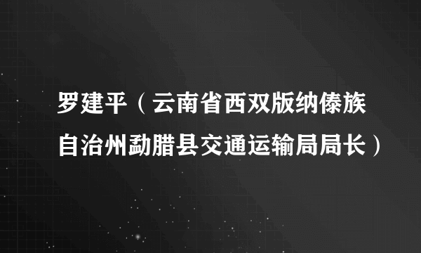 罗建平（云南省西双版纳傣族自治州勐腊县交通运输局局长）