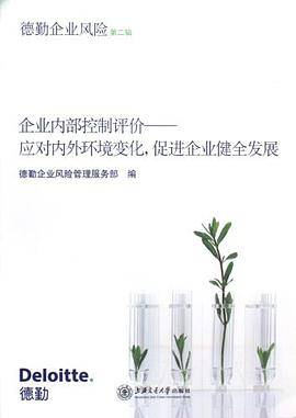 企业内部控制评价（德勤企业风险管理服务部著图书）