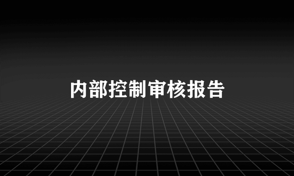 内部控制审核报告