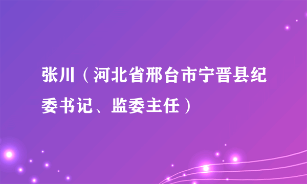 张川（河北省邢台市宁晋县纪委书记、监委主任）