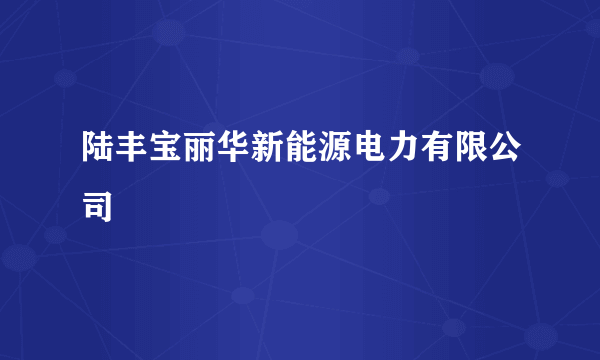 陆丰宝丽华新能源电力有限公司