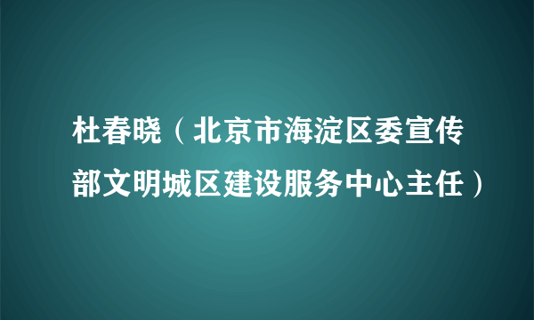 杜春晓（北京市海淀区委宣传部文明城区建设服务中心主任）