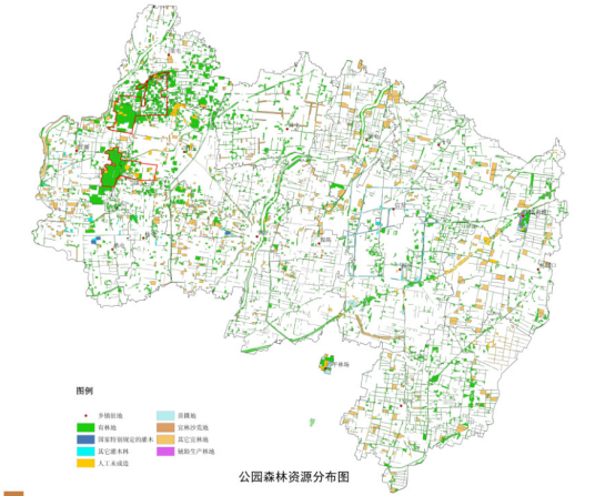 山东茌平国家森林公园