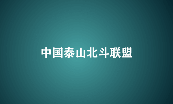 中国泰山北斗联盟