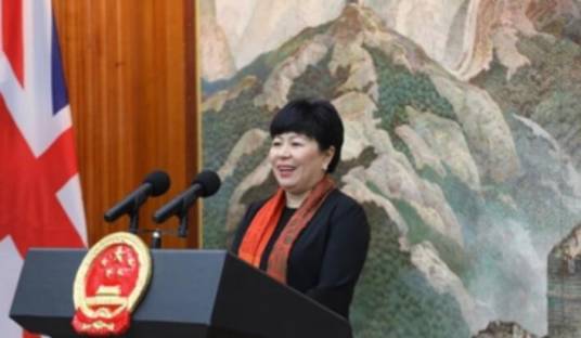 陈雯(中华人民共和国外交部办公厅副主任)