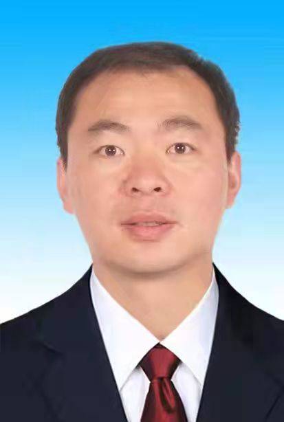 高雁（河南省新野县公安局原局长）