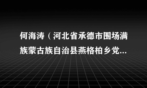 何海涛(河北省承德市围场满族蒙古族自治县燕格柏乡党委委员、纪委书记)