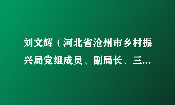 刘文辉（河北省沧州市乡村振兴局党组成员、副局长、三级调研员）