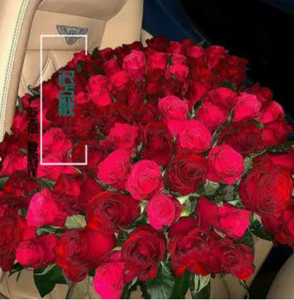 今晚的消费由赵公子买单