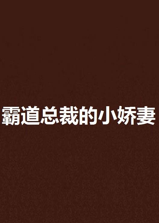 霸道总裁的小娇妻（蔷薇泪创作的网络小说作品）