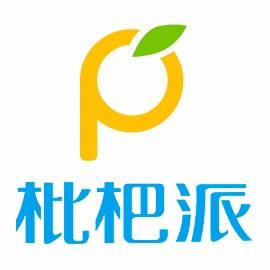 南京枇杷派网络科技有限公司