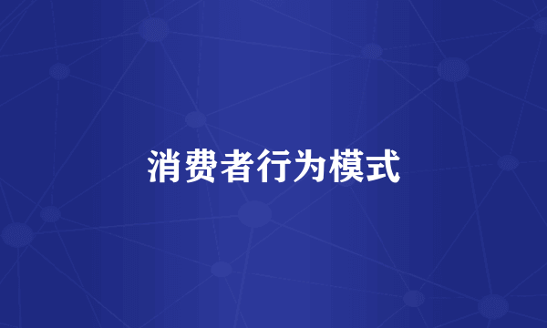 消费者行为模式