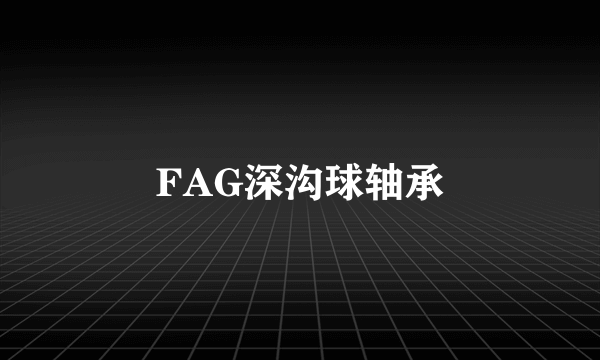 FAG深沟球轴承
