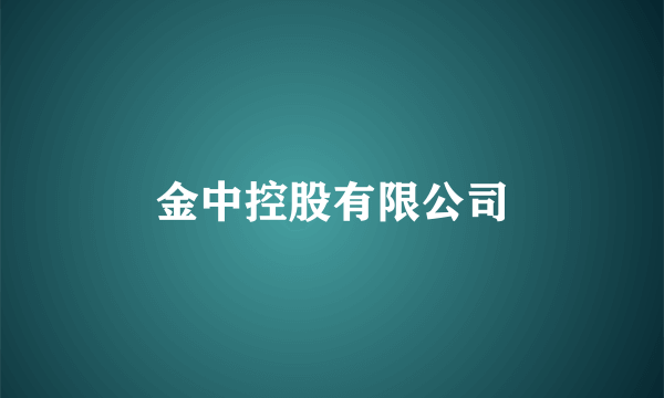 金中控股有限公司