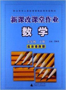 新课改课堂作业:数学