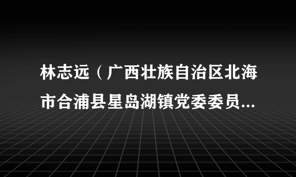 林志远(广西壮族自治区北海市合浦县星岛湖镇党委委员、政法委员、副镇长)