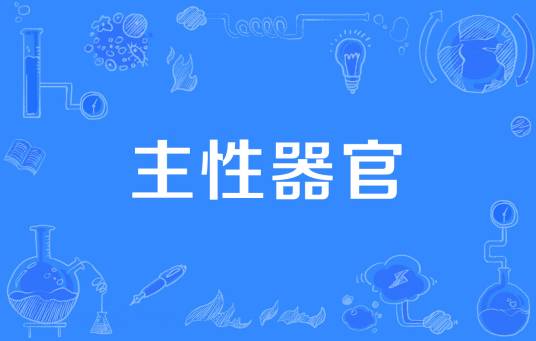 主性器官