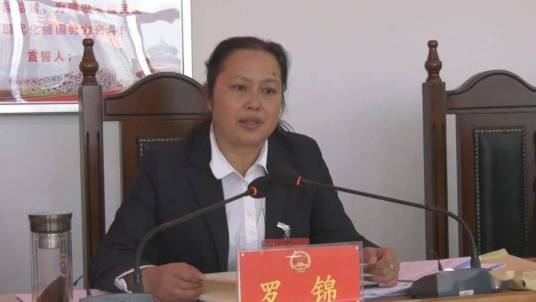 罗锦（贵州省安龙县委常委）