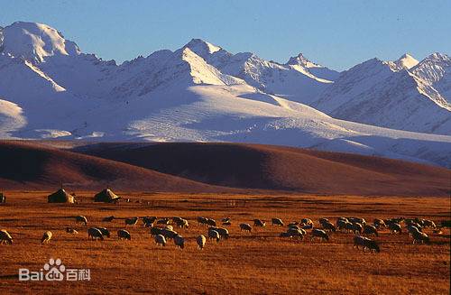 金山(阿尔泰山蒙语意)