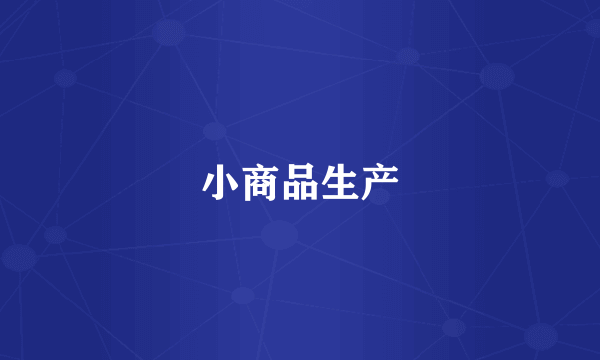 小商品生产