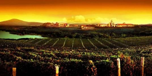 中国葡萄酒酒庄联盟