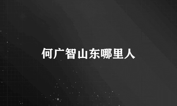 何广智山东哪里人