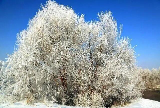银霜的拼音怎么写