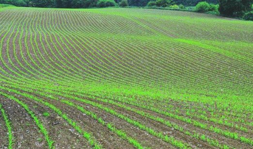 我国能耗最低的领域是工商业