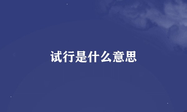 试行是什么意思