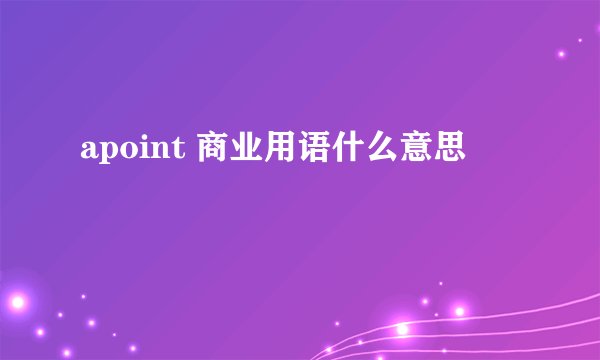 apoint 商业用语什么意思