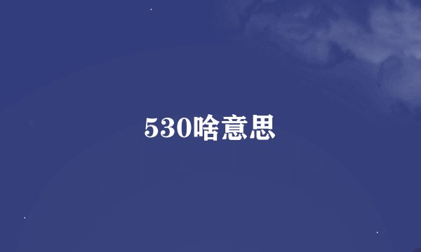 530啥意思