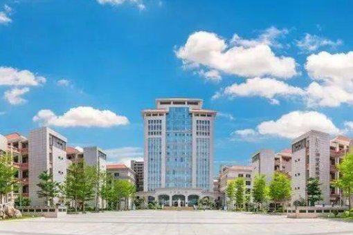 泉州五中陈显数学老师