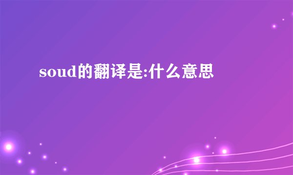 soud的翻译是:什么意思