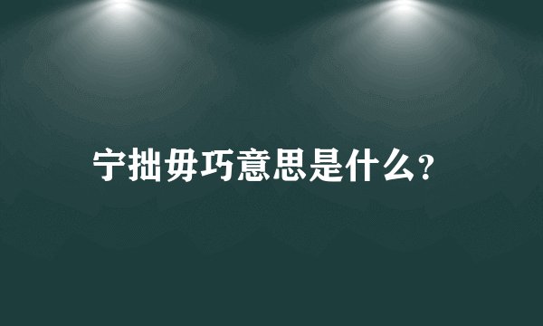 宁拙毋巧意思是什么？