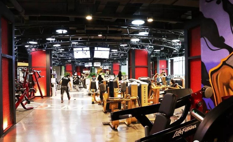 辽宁天龙俱乐部规程