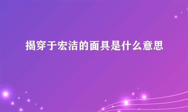揭穿于宏洁的面具是什么意思