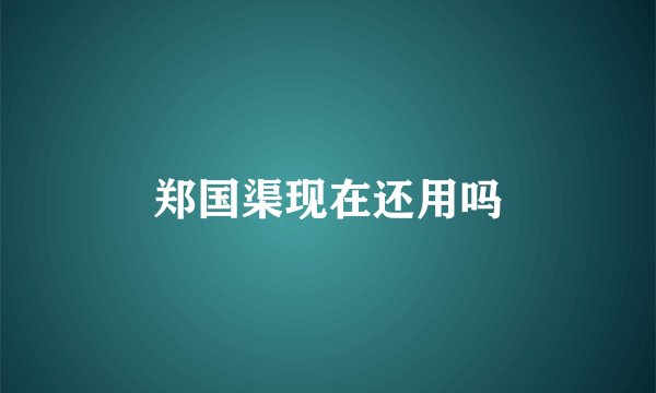郑国渠现在还用吗